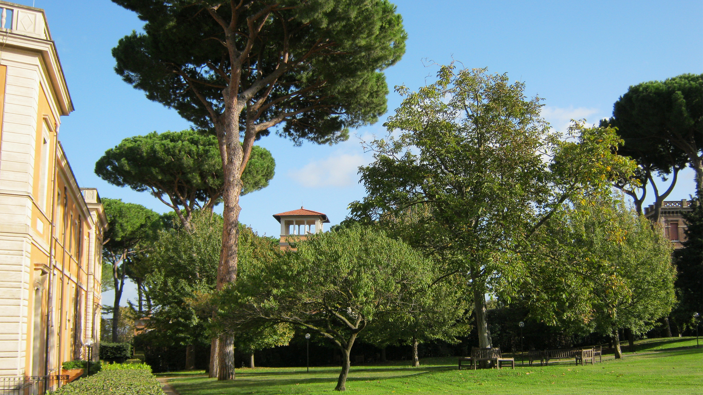 Color photograph of a garden on a Roman estate with umbrella pines and other trees behind a grassy lawn