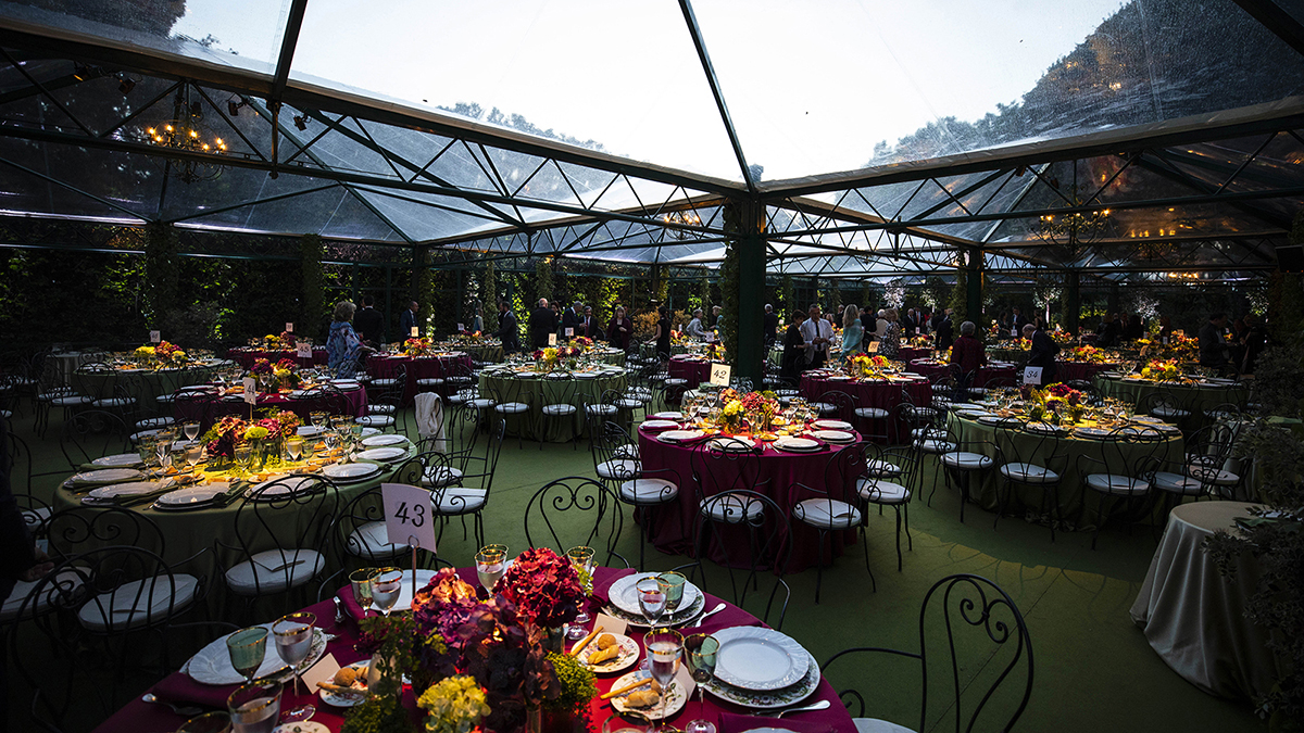 News - Photography and Film Request