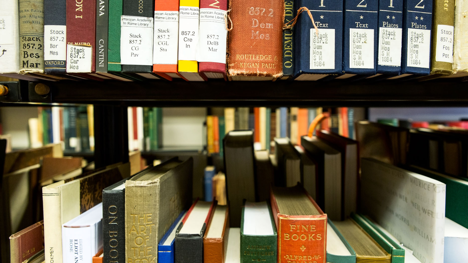 Color photograph of two bookshelves in the AAR library