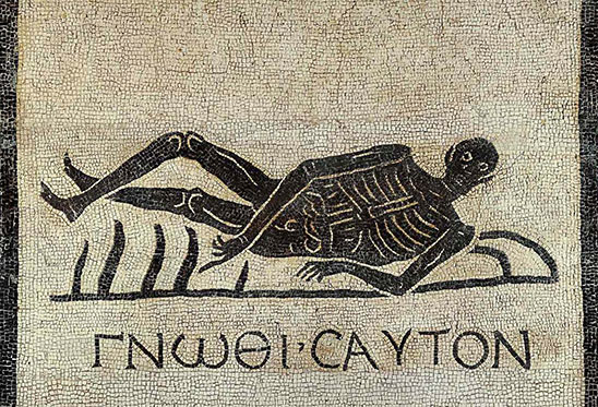 Diet and Environment in the Roman World Diet and Environment in the Roman World