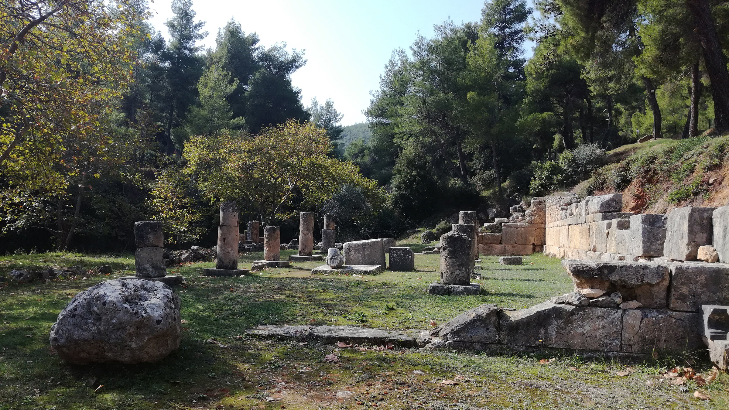 Iida Huitula Color photograph of an outdoor scene with trees, bushes, and short Roman architectural ruins