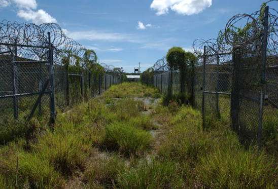 Liz Ševčenko - Historic Preservation for a Post-Truth Era: Accepting Denial