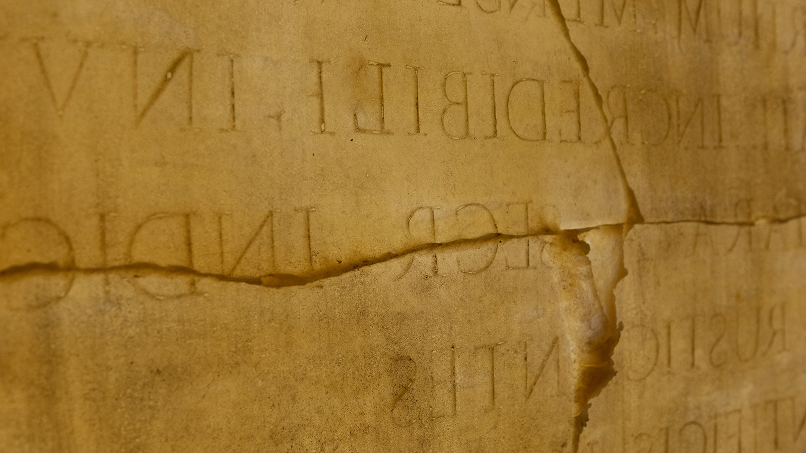 Material Afterlives Color photo of a detail of an artwork consisting of a latex mold of a ancient Roman epigraphic stone, with backward Latin letters on stone
