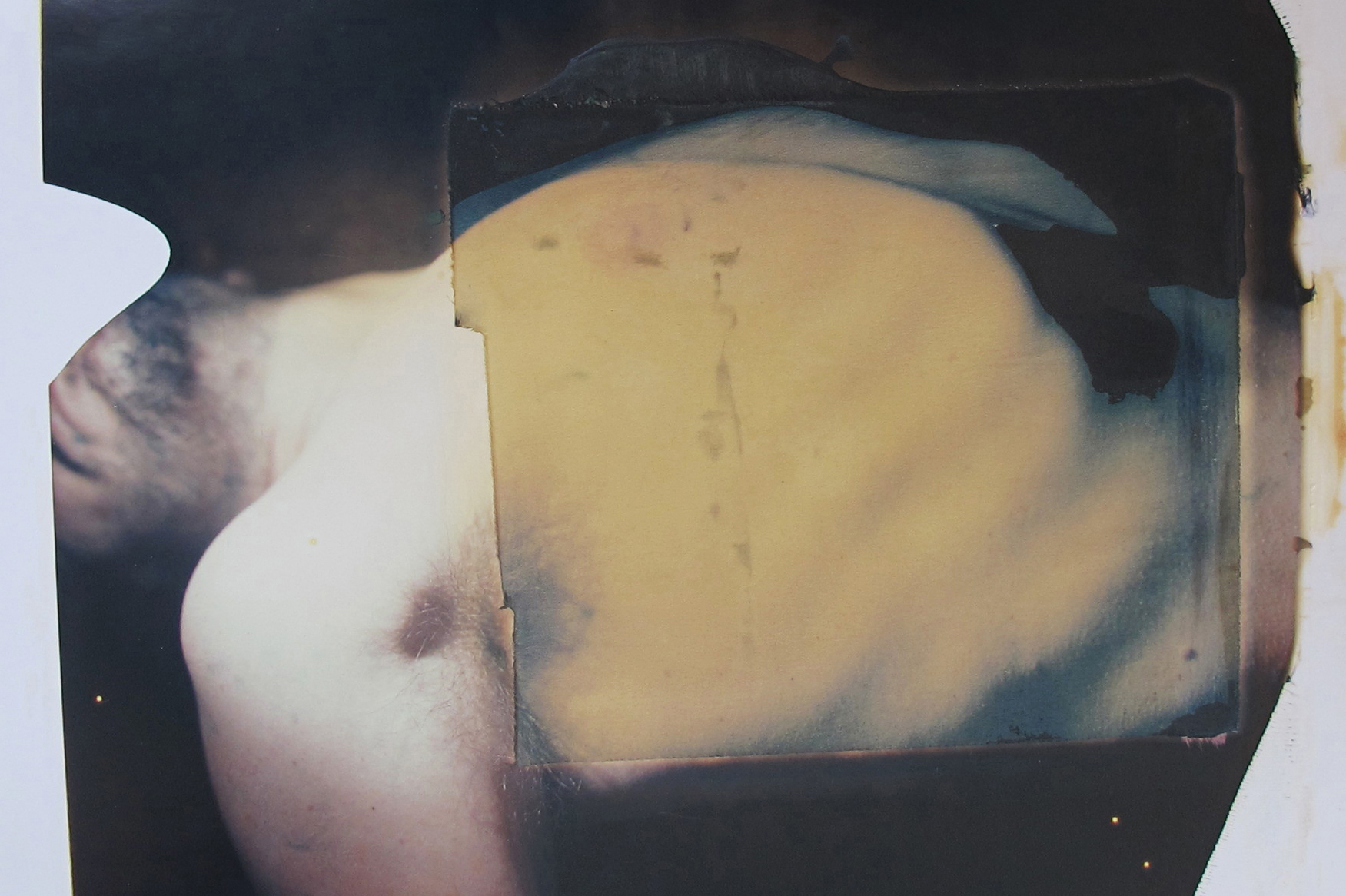 Paolo Gioli - Anthropolaroid Paolo Gioli - Anthropolaroid