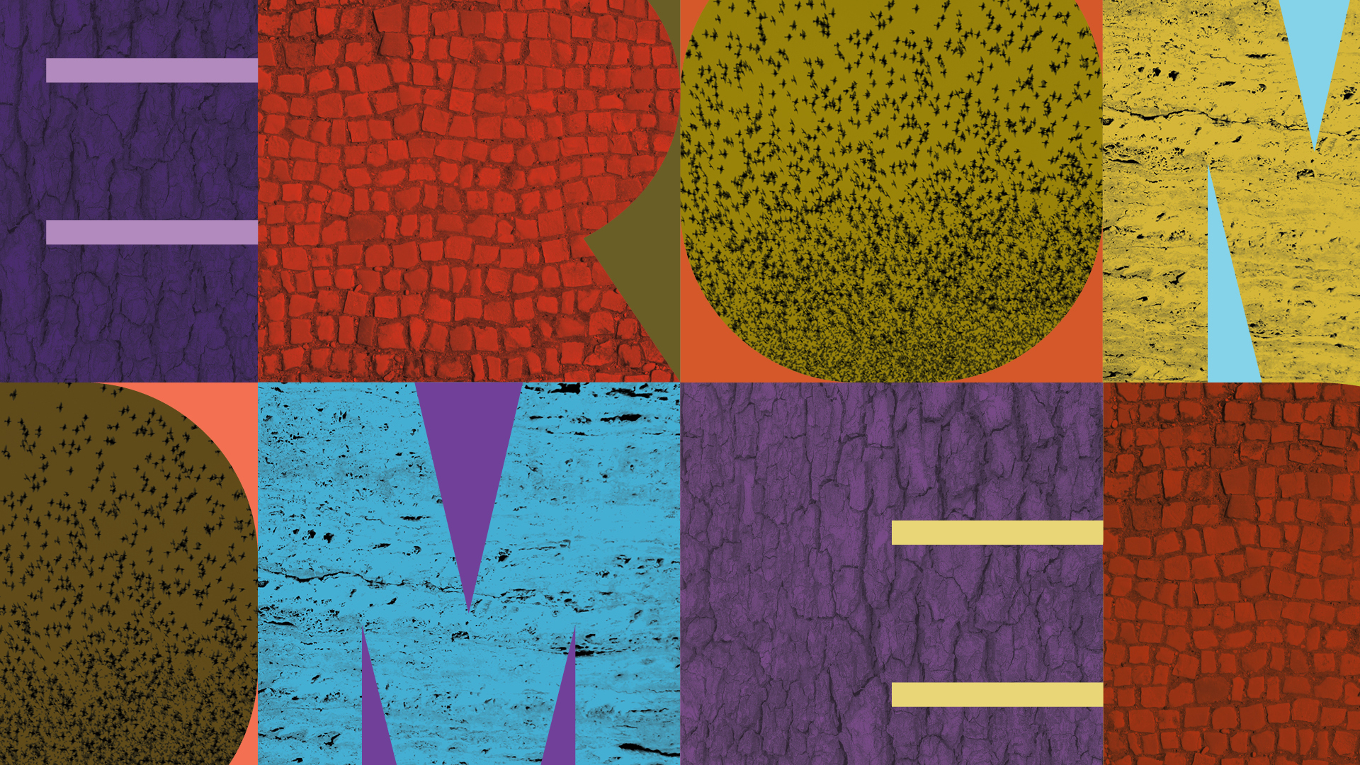 Graphically designed element with two rows of wide, colorful letters spelling ROME as EROM and OMER; in the space of the letters are photos of pine tree bark, street paving stones, a murmuration of starlings, and a sheet of travertine