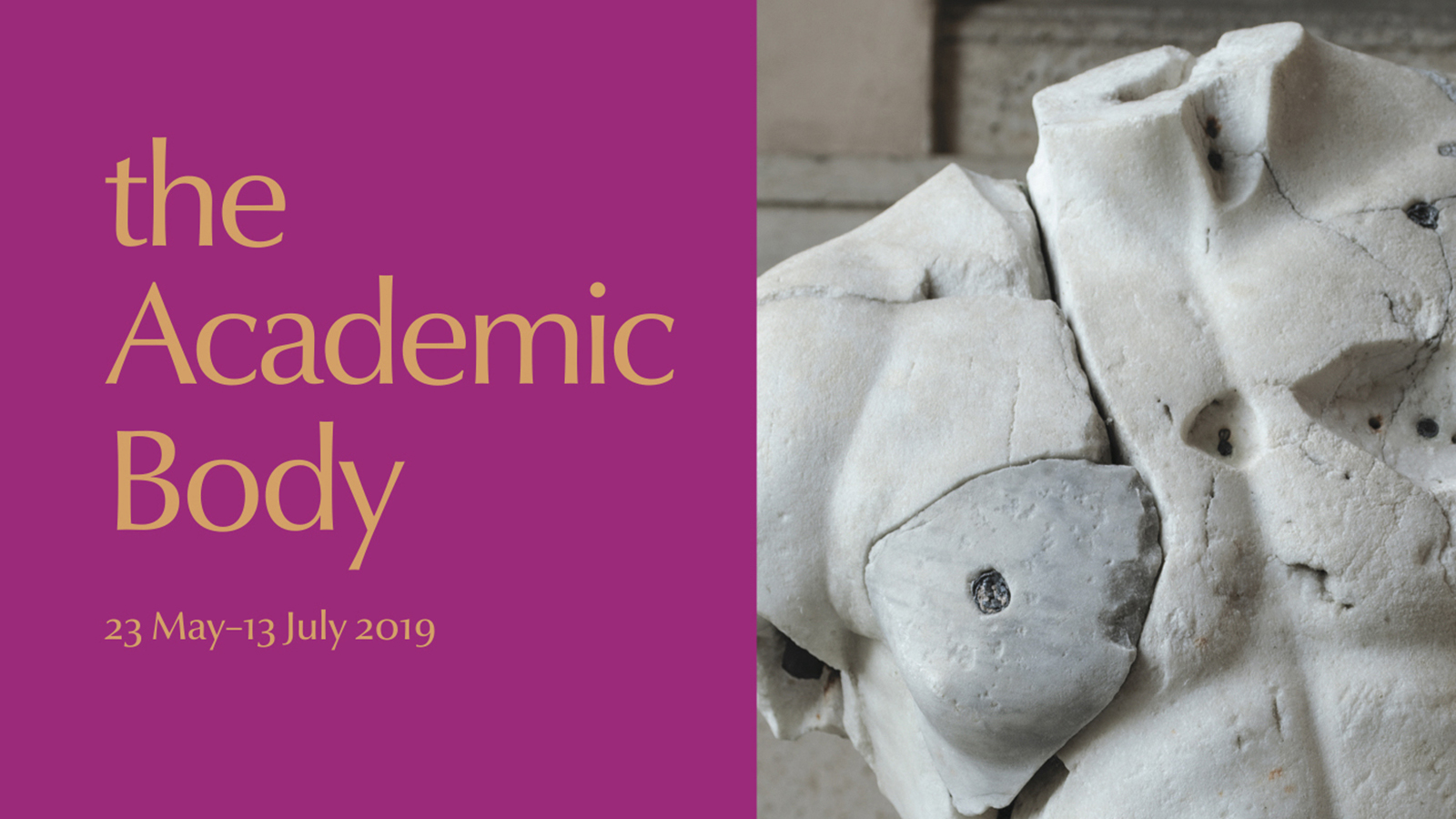 The Academic Body - Exhibition Press Release