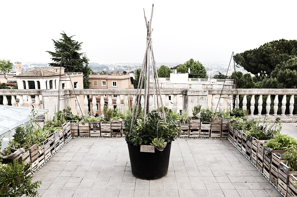 Fritz Haeg, FAAR'11 Looks Back at a Year in Rome