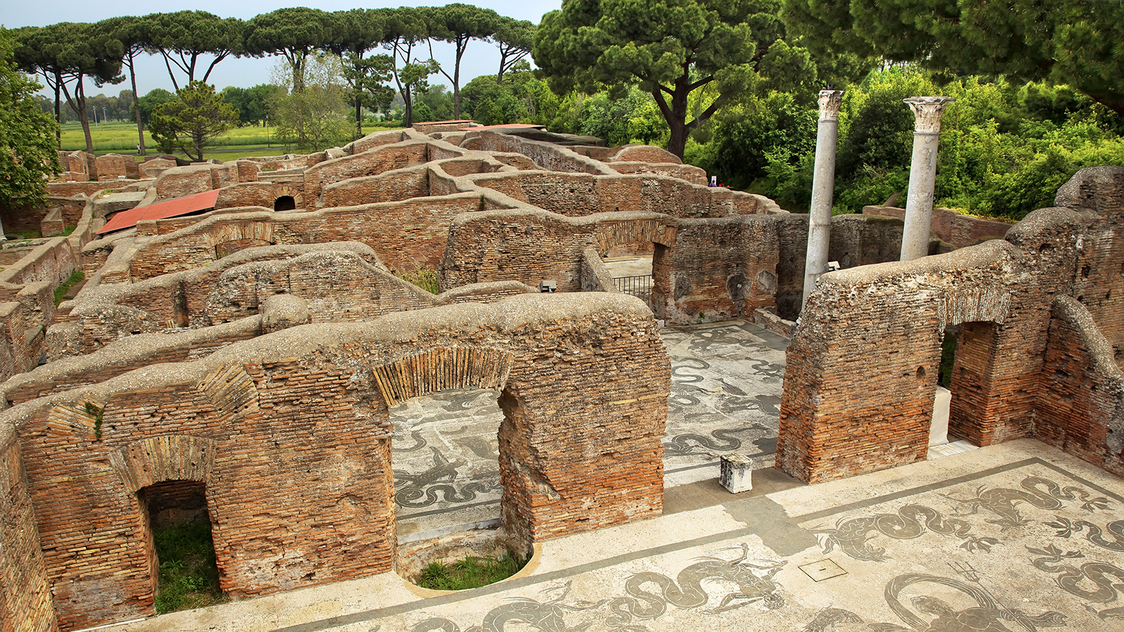 Color photo of ancient architectural ruins and floor mosaics with umbrella pines