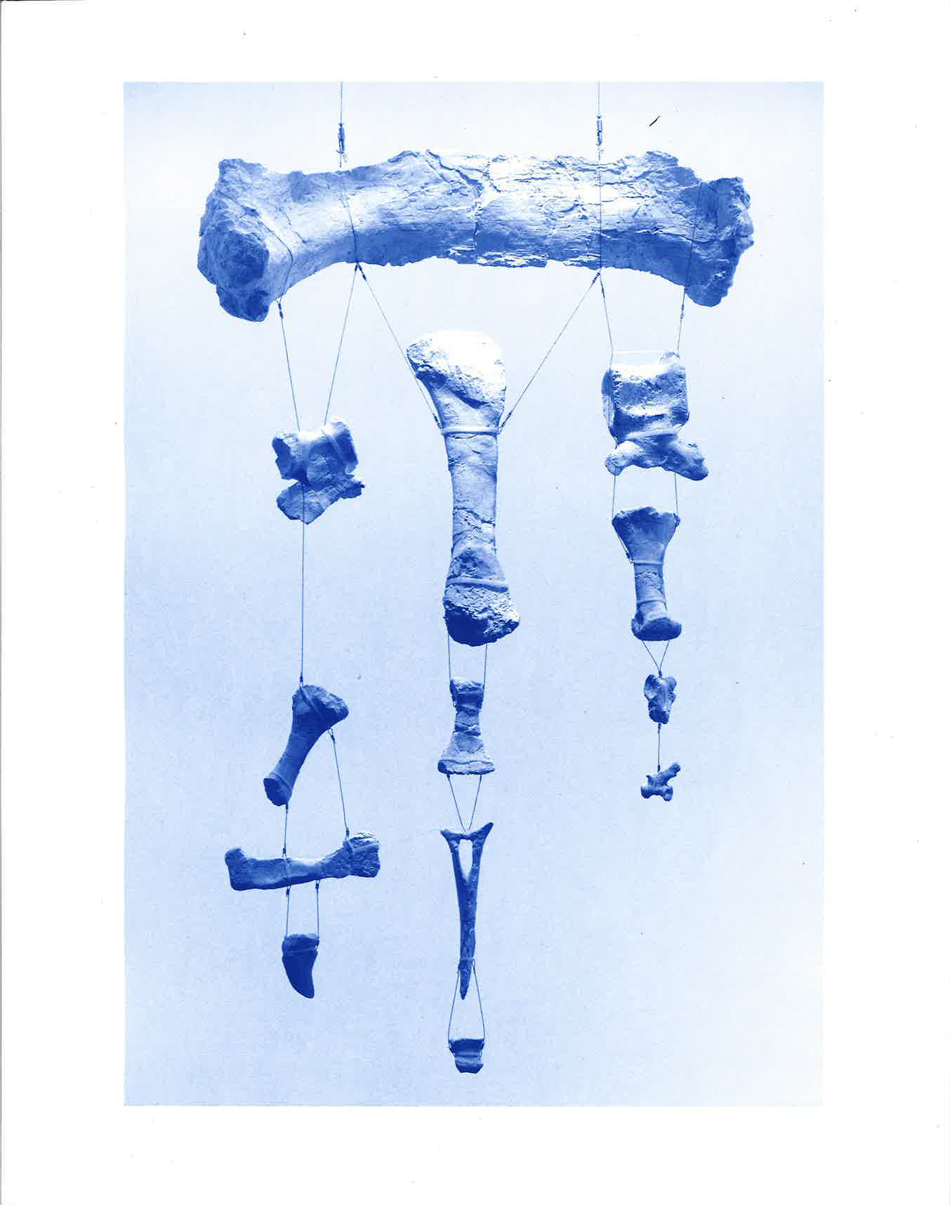 Yto Barrada Dye Garden - Book Cover