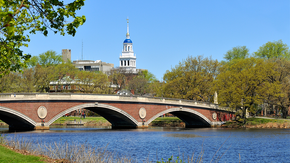 Color photo of a red brick footbridge over a river