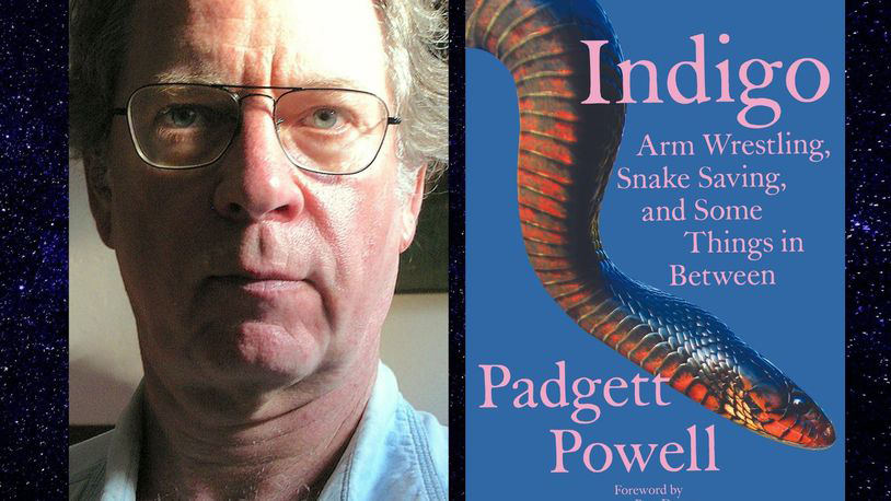 Composite image of the face of a light skinned man wearing glasses and frowning at the camera on the left, and the cover of a new book &quot;Indigo&quot; by the author