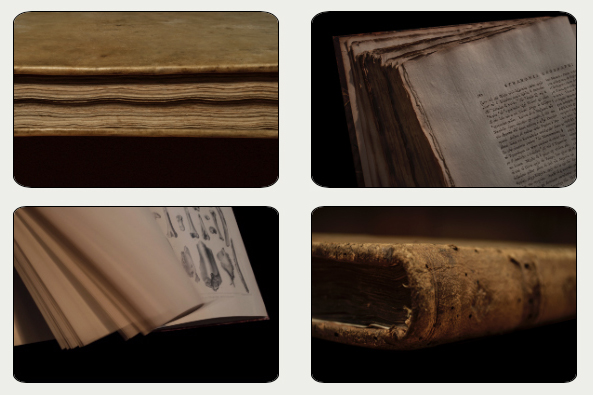 Laura E. Migliorino - Photo Exhibition