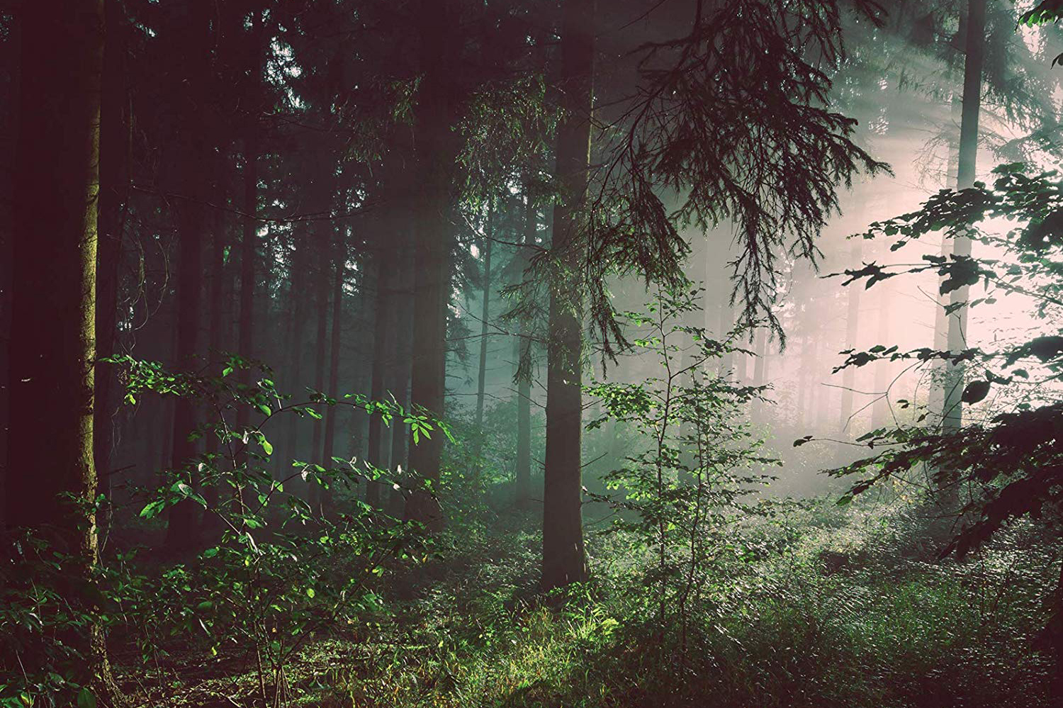 John Harbison - Quick News