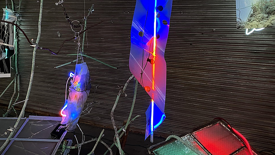 Color photograph of an installation by John Schlesinger