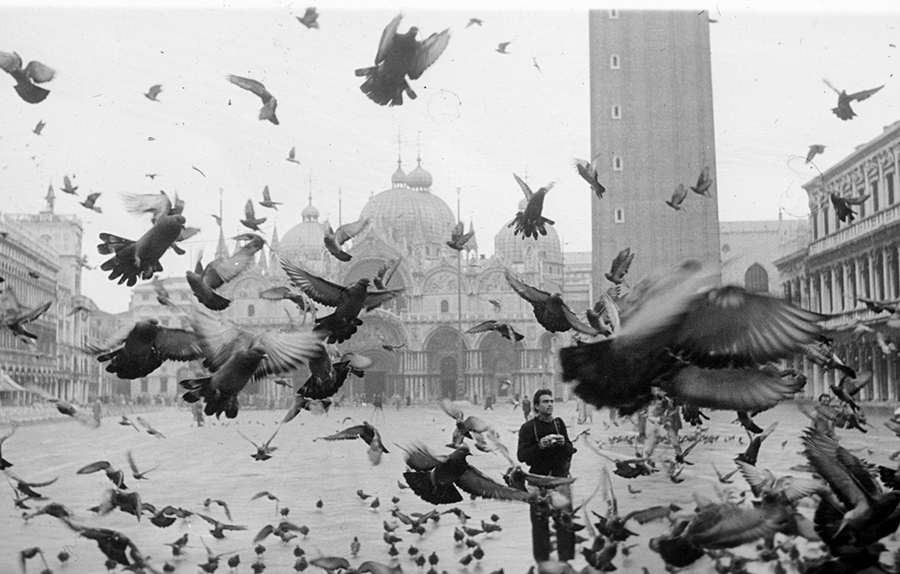 Black and white photograph of many pigeons flying in front of the camera in Venice's Piazza San Marco