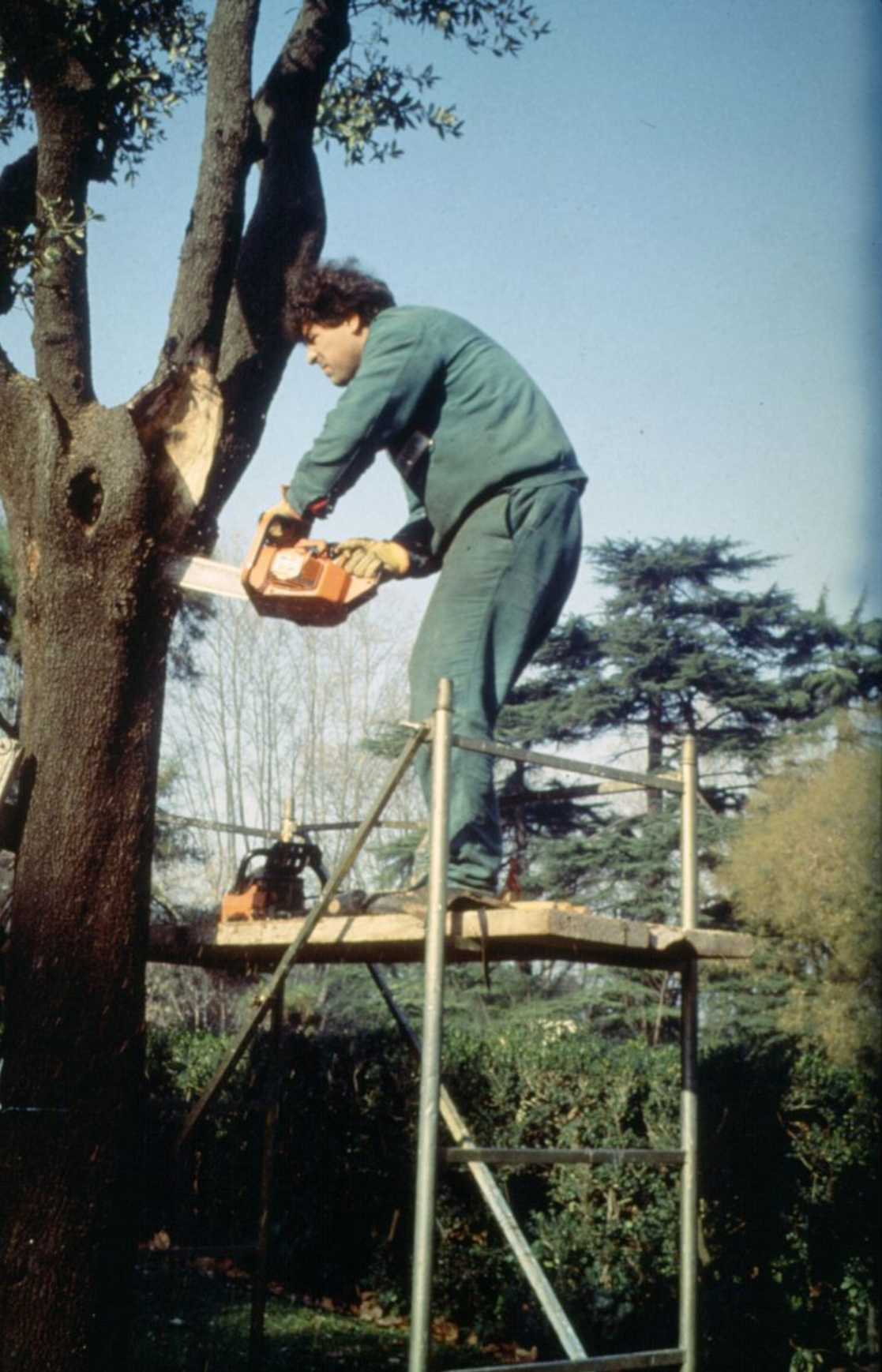 Color photo of a man standing on scaffolding and cutting a tree branch with a chainsaw