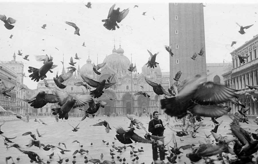 Black and white photograph of many pigeons flying in front of the camera in Venice's Piazza San Marco