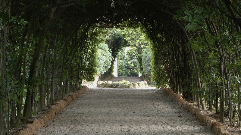 Aluminum Forest - Villa Aurelia Gardens
