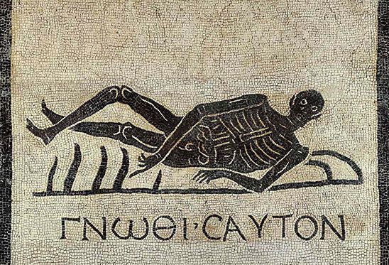 Diet and Environment in the Roman World