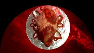 E.V. Day