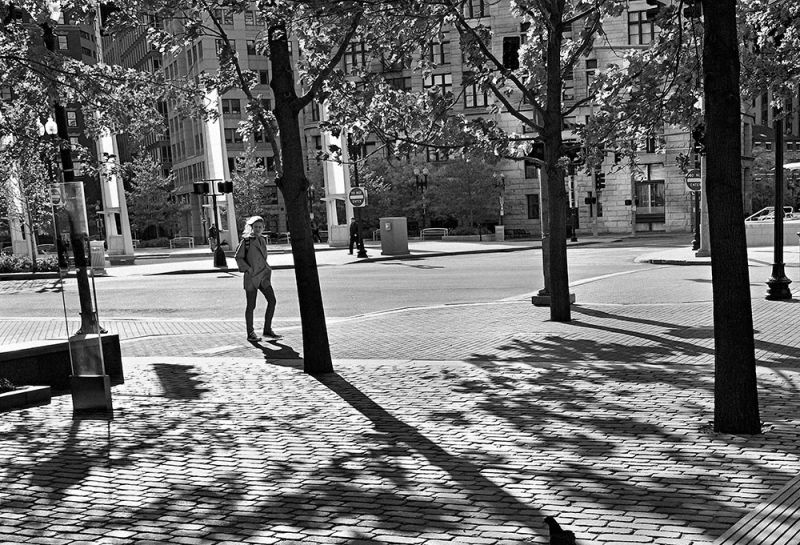 Gary Hilderbrand with Alberto Iacovoni – Imagining the Vegetal City: The Surface Is Alive