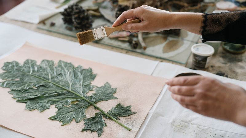 Color photograph of a hand holding a brush hovering over a plant leaf spread on a piece of paper