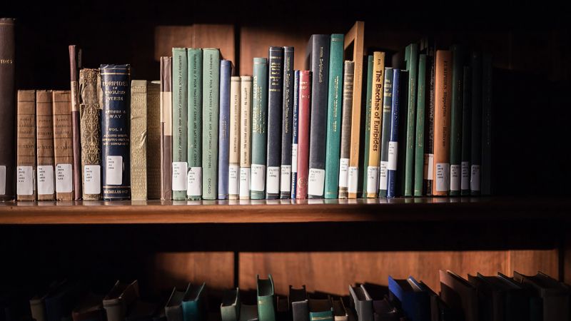 Color photograph of a wooden bookshelf with old clothbound books on it