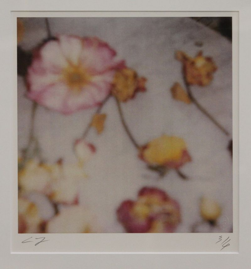 Peter Benson Miller - Cy Twombly and Photography