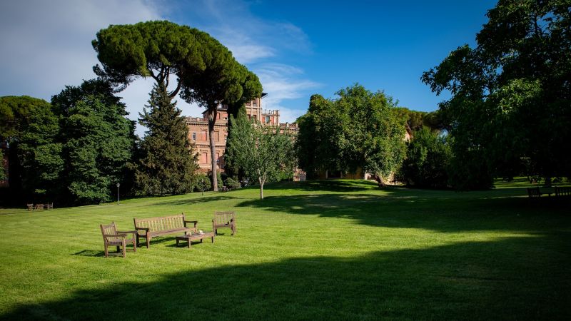 Lawn with trees behind