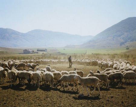 Through 3 March 2011, An Exhibition of 15 AAR Italian Affiliated Fellows in the Arts