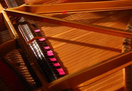 At the AAR, Reflecting on the Nuova Consonanza and Nuovi Spazi Musicali Concert Series
