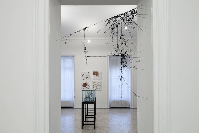 Cinque Mostre: Time and Again