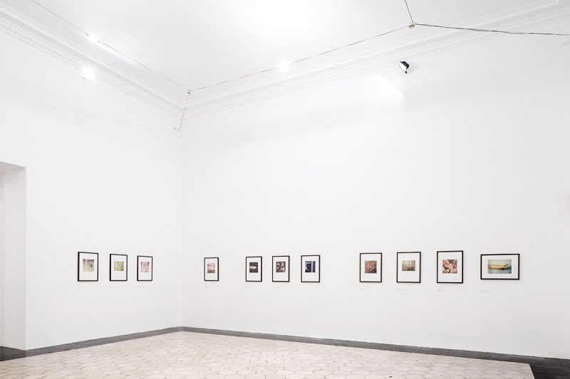 Cy Twombly, Photographer