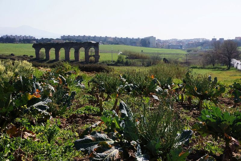 Elizabeth Fain LaBombard Visits Landscapes that are Often Under-utilized on the Periphery of Rome