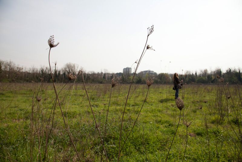 Elizabeth Fain LaBombard Visits Landscapes that are Often Under-utilized on the Periphery of Rome