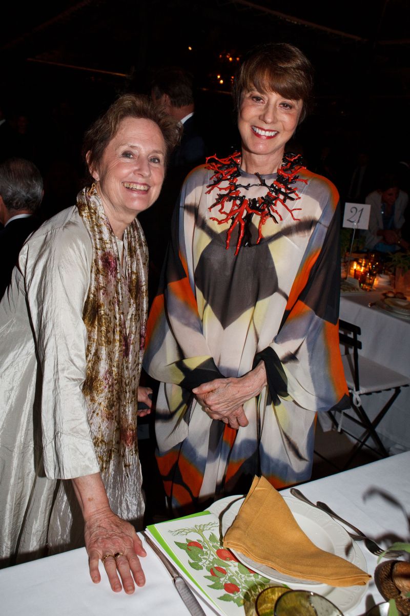 2015 McKim Gala - A Starry Night in Rome