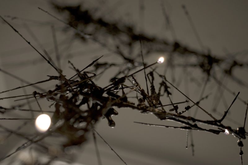 Catie Newell Tests Her Methods of Research and Production in the Darkness of Rome