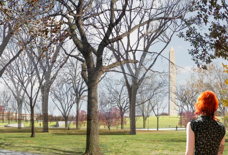 The Glimpse Series: From View to Plate, David Rubin Relishes the Roman Landscape