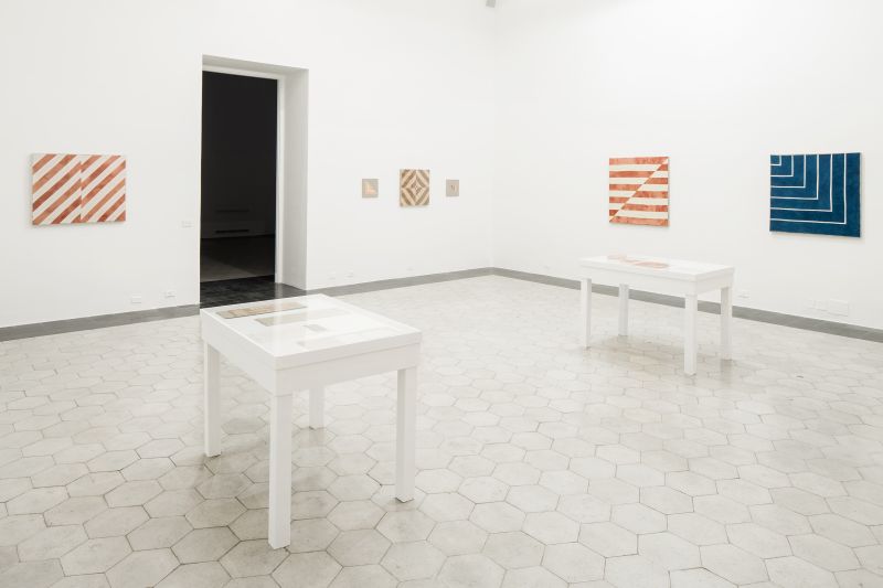 Yto Barrada - Dye Garden