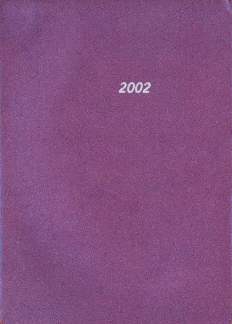 Fine Arts 2002