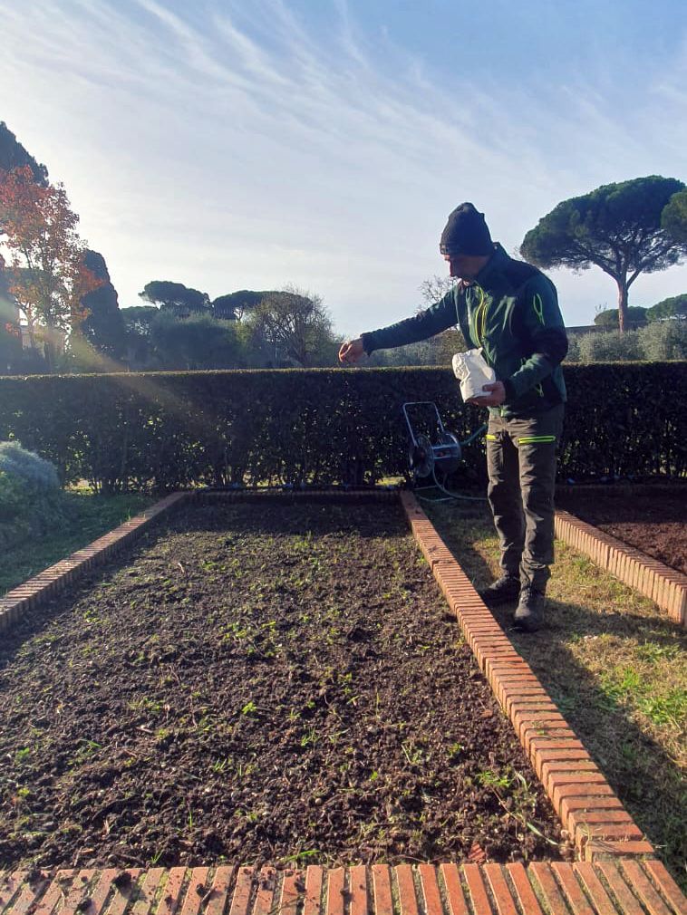 Color photo of a man dropping seeds into a raised farming bed